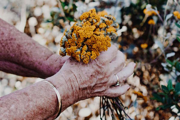 Older Person Gardening